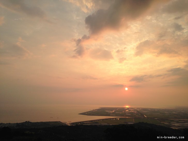 本島　軍勝(もとじま　ぐんかつ)ブリーダー(熊本県・柴犬など・JKC/ＫＣジャパン/一般社団法人日本豆柴協会登録)の紹介写真8