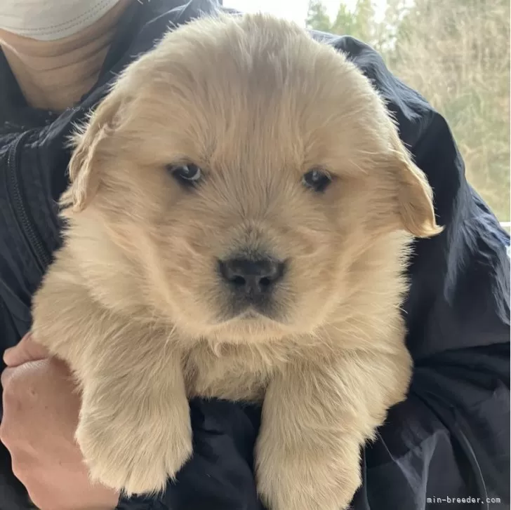 S.H 様のお迎えした子犬