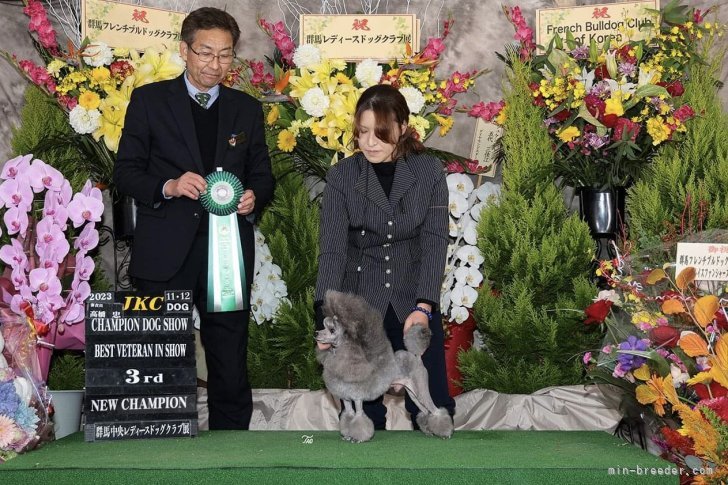 窪田　佳奈恵(くぼた　かなえ)ブリーダー(長野県・ヨークシャーテリアなど・JKC登録)の紹介写真6