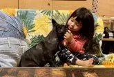 フレンチブルドッグ【大阪府・女の子・2019年12月24日・ブリンドル】の写真5