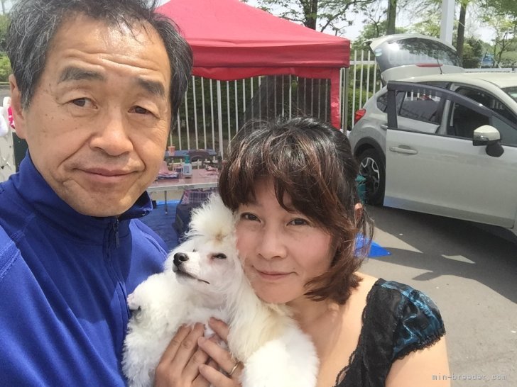 幡本しのぶブリーダー