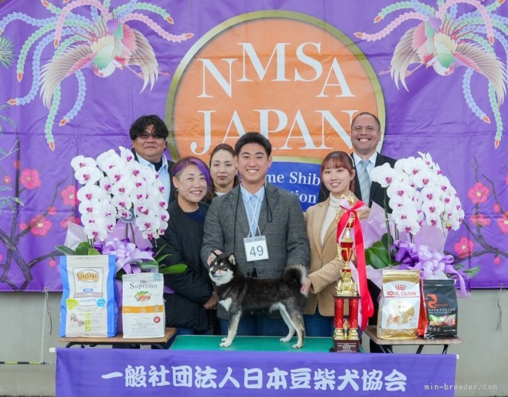 豆柴【・女の子・2023年3月3日・黒】「2025/11/9 メス部門　優勝全体　準優勝」