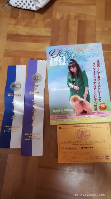 松田園子ブリーダーのブログ：マオが本日ドックショーでＷＢ,BOB頂きました