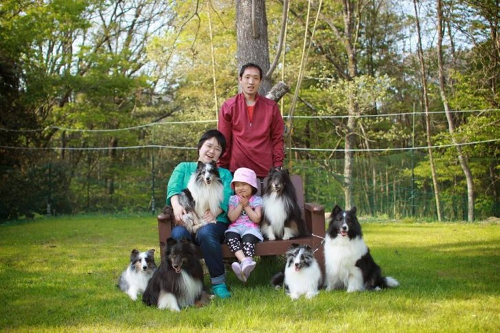 ブリーダー家族写真です。｜大櫛　智美(おおぐし　ともみ)ブリーダー(大阪府・シェットランドシープドッグ・JKC/JCC（日本コリークラブ）登録)の紹介写真1