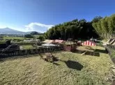 チワワ(スムース)【山口県・女の子・2025年4月24日・ブラック&ホワイト&タン】の写真12
