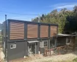 豆柴【山口県・女の子・2025年6月4日・赤】の写真9