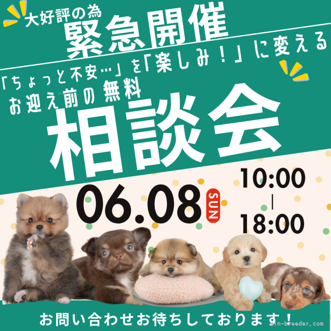 渡邊舞ブリーダーのブログ：📢ワンちゃん選びで迷っている方、、お集まりください！！🐶🌷