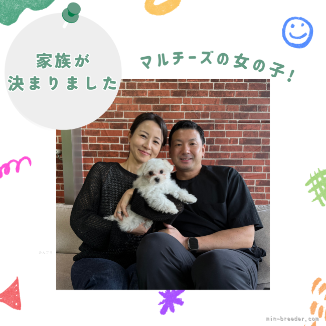 渡邊舞ブリーダーのブログ：🐾 家族が決まりました✨