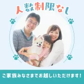 ポメラニアン【千葉県・女の子・2025年5月6日・オレンジ】の写真14「ご家族みんなでご来店いただけます👪人数制限はありませんので皆さんでお越しください💖」