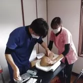 ゴールデンドゥードル(ゴールデンレトリバー×プードル)【兵庫県・男の子・2025年10月26日・クリーム】の写真3