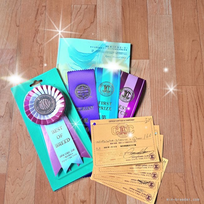 残すはメジャーガード(ピンク色💟)