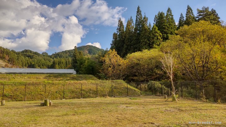 垣内　久美(かきうち　くみ)ブリーダー(岐阜県・ロットワイラー・JKC登録)の紹介写真4