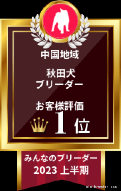 みんなのブリーダー今年上半期お客様評価1位をいただきました｜光岡　友儀(みつおか　ともよし)ブリーダー(岡山県・秋田犬など・秋田犬保存会登録)の紹介写真2