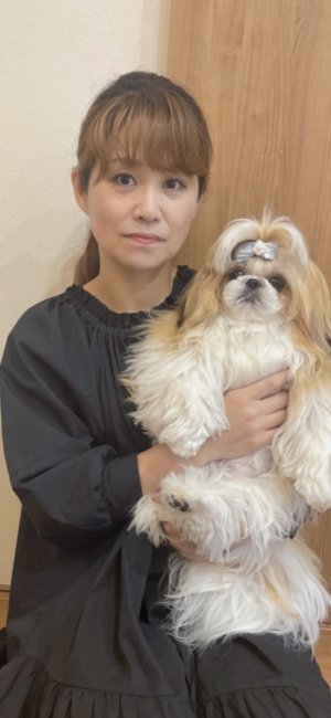 看板犬☆にこです☆｜樋口　智美(ひぐち　ともみ)ブリーダー(愛知県・ペキニーズなど・JKC登録)の紹介写真1