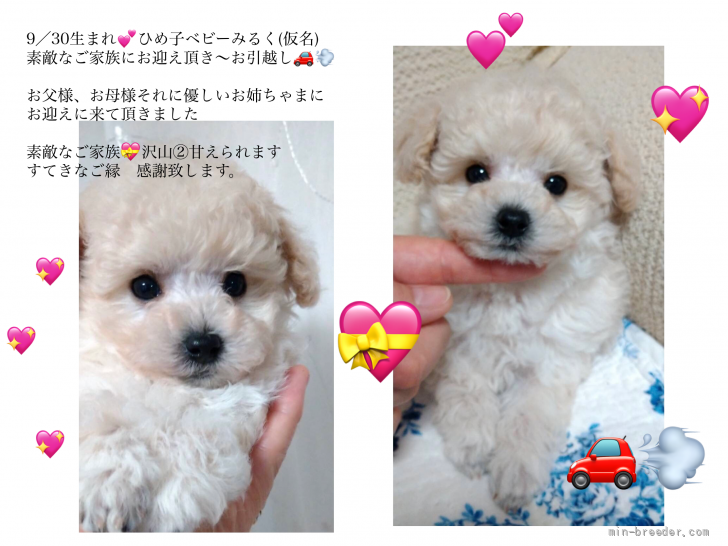 佐々木美智子ブリーダーのブログ：ひめ子ベビーのお引越し🚗💨