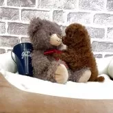 タイニープードル