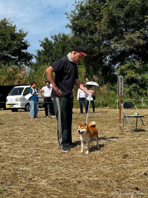 沼貴博ブリーダーのブログ：仔犬が旅立ちました🐕