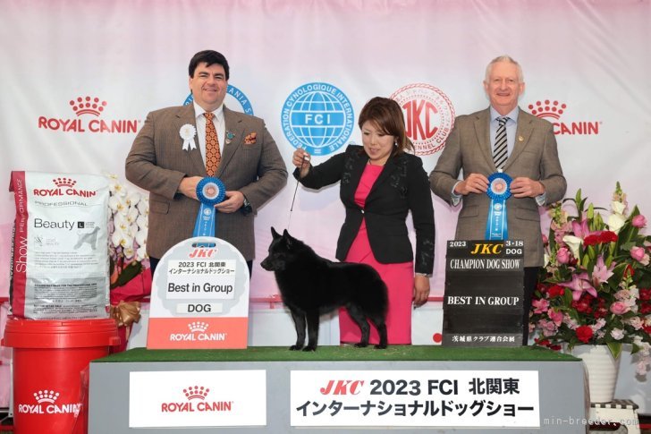 スキッパーキ【・男の子・2020年2月16日・ブラック】