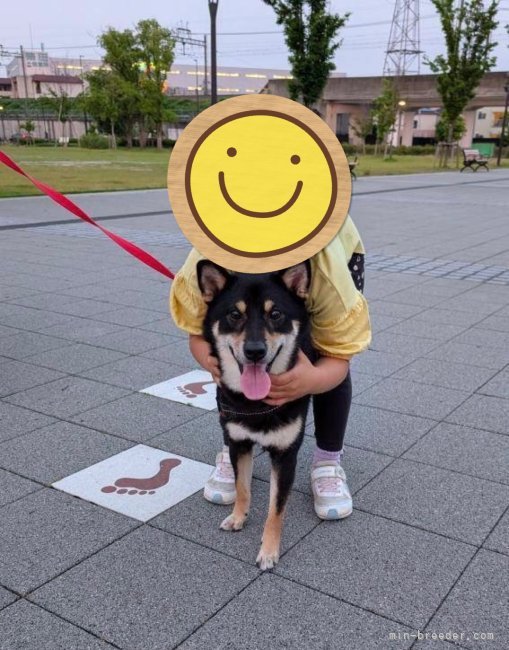 田中健一ブリーダーのブログ：はぴはぴ💛おめおめ🎉2歳組🐕‍🦺❤️