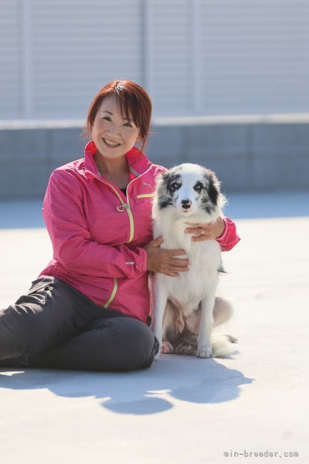 吉田久美子ブリーダー