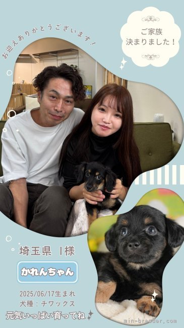 平ほの花ブリーダーのブログ：✨🐶ご家族が決まりました🐶✨