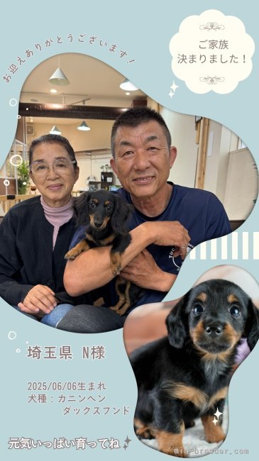 平ほの花ブリーダーのブログ：✨🐶ご家族が決まりました🐶✨見学会のご予約受付中です🌸