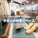 チワックス(チワワ×ダックスフンド)【埼玉県・男の子・2025年5月28日・クリーム】の写真14「子犬と遊びながら対面できる、広々としたスペースでご案内します。隣にはお母さんたちのドッグランも🐶」