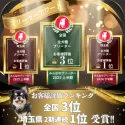 ビションプー(ビションフリーゼ×トイプードル)【埼玉県・男の子・2025年4月10日・クリーム】の写真15「🏆お客様評価ランキング🏆2期連続埼玉県全犬種1位🥇全国全犬種3位🥉受賞しました🎉✨」