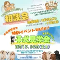 トイプードル(トイ)【埼玉県・男の子・2025年3月10日・レッド】の写真2「🍆お盆期間限定🥒特別イベントWeek！🎉相談会＆見学会開催📣📣」