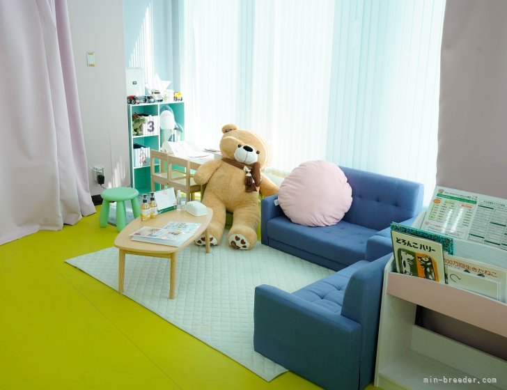 子供部屋をイメージしたとても可愛い接客室🐶、ご家族様全員でご見学に来てください🎶｜杉山　晴菜(すぎやま　はるな)ブリーダー(神奈川県・トイプードルなど・JKC登録)の紹介写真7