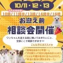 チワワ(ロング)【神奈川県・男の子・2025年7月24日・ブラックタン&ホワイト】の写真2「🐶10/11〜13開催🐾 初めてさん大歓迎！なんでも相談OKです🌈」