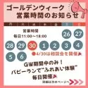 ポメポメプー(ポメラニアン×ポメプー)【神奈川県・女の子・2024年12月18日・オレンジセーブル】の写真2「🧺ゴールデンウィーク期間中の営業について🧺毎日営業中です🎶」