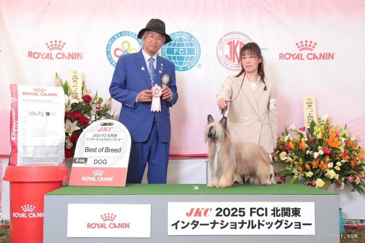 吉金久美子ブリーダーのブログ：北関東インター
