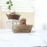 タイニープードル