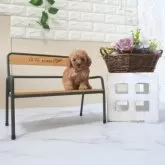 タイニープードル