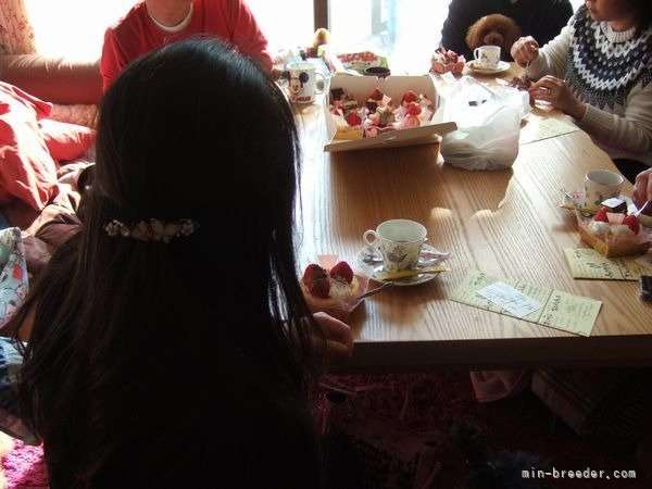 不定期開催！オーナー様とのお茶会｜牟田口　まり子(むたぐち　まりこ)ブリーダー(福岡県・トイプードル・JKC登録)の紹介写真8