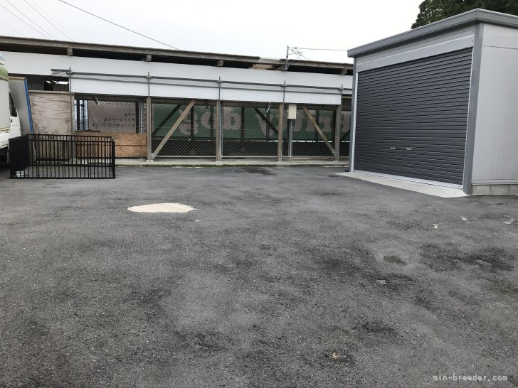 アメリカンコッカー専用ドッグラン🐕🌱｜中野　希光子(なかの　きりこ)ブリーダー(鹿児島県・ゴールデンレトリバーなど・JKC登録)の紹介写真7