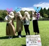 「ビショプー🐾」父プードルX母 ビションフリーゼ【東京都・女の子・2023年9月23日・ホワイト&カフェオレ】の写真5「同じパパ＆ママから昨年の10月に産まれた男の子4兄弟🐾（11ヶ月時点の写真です。）」