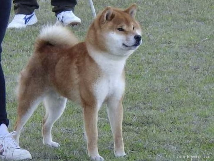 写真は熊本展の際に撮って頂いた物です🙇‍♀️