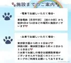 ミニチュアダックスフンド(ロング)【東京都・男の子・2025年7月14日・チョコレート&タン】の写真9「最寄り駅の東急電鉄「荏原町駅」「旗の台駅」から徒歩約5～6分とアクセス良好♬」