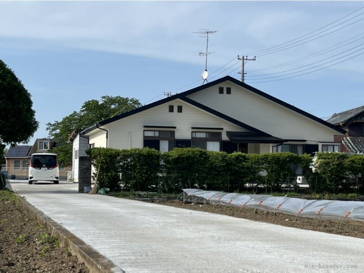 ご見学の際には目印となります。｜山西　高雄(やまにし　たかお)ブリーダー(埼玉県・ビションフリーゼなど・JKC登録)の紹介写真6