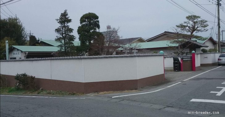 高橋　富万(たかはし　とみかず)ブリーダー(群馬県・秋田犬など・JKC/日本犬保存会/秋田犬保存会/KC登録)の紹介写真3
