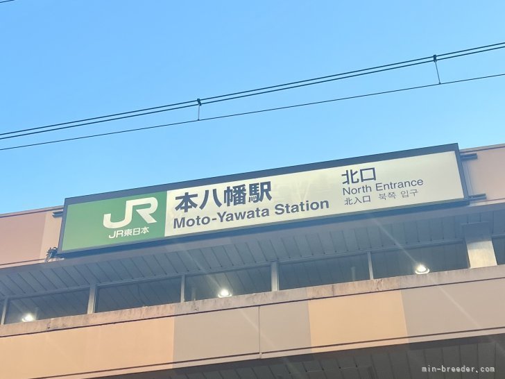 三宅綾ブリーダーのブログ：本八幡駅