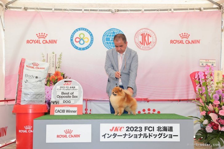 CN.シオン