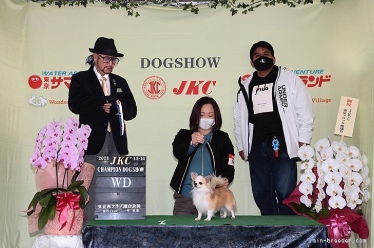 CNフェルナンド