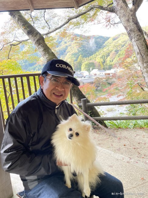 近藤　登喜芳(こんどう　ときよし)ブリーダー(岐阜県・トイプードルなど・JKC登録)の紹介写真1
