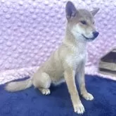 柴犬(標準サイズ)