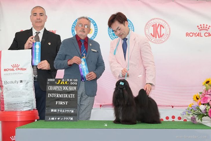 木村京子ブリーダーのブログ：2025年は大変お世話になりました！出産予定