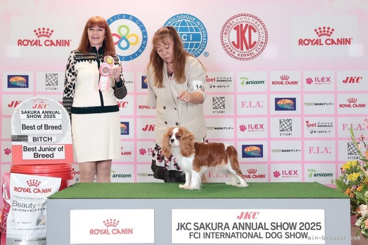豊福由起子ブリーダーのブログ：写真が出来上がりました