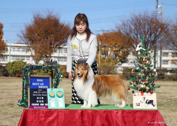 小池正之ブリーダーのブログ：フィオくん、初ＷＢ　                  カイくん、ＢＯＢ　　　おめでとう🎉㊗️🎊